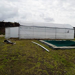 Greenhouse Tunnel