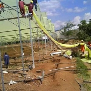 Greenhouse Turnkey Project