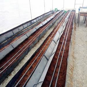 Hydroponics set up